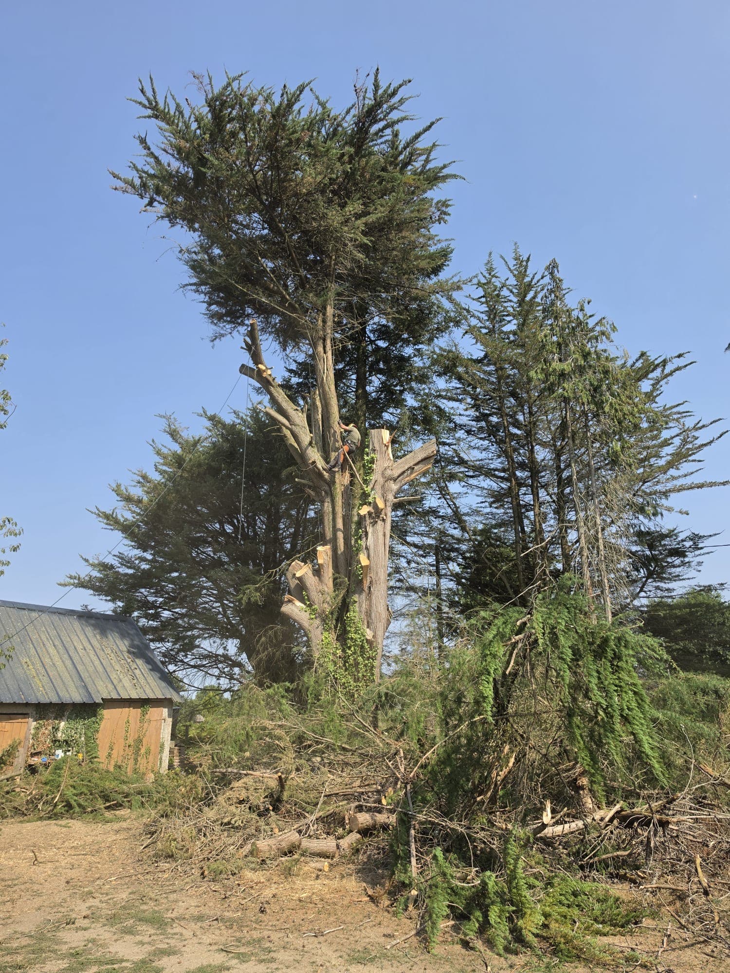 Chantier d'élagage MarioÉlag près de Pont-Aven